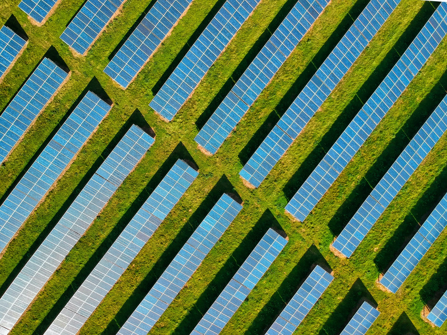 Community Solar